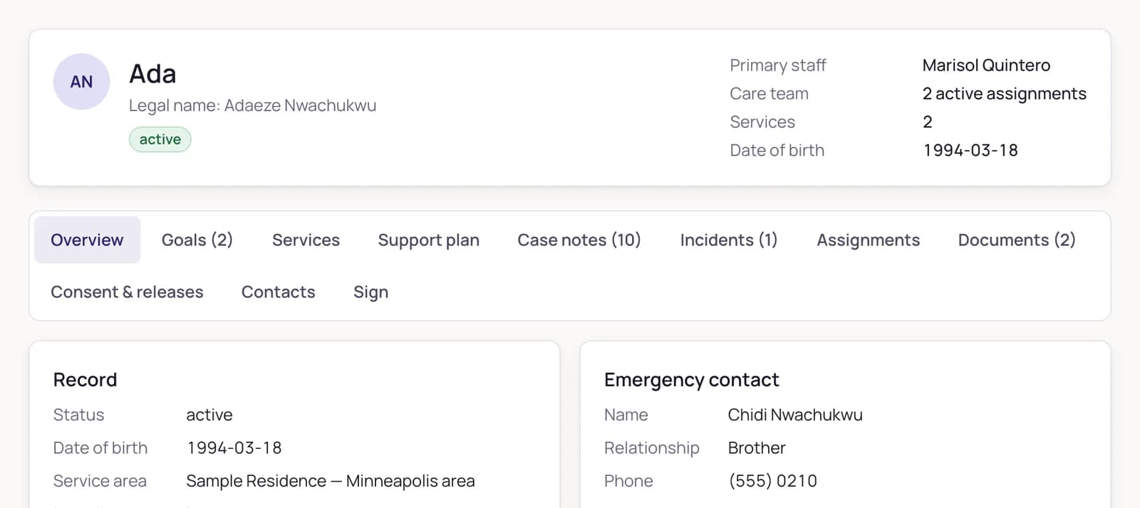 A client record: header card with status, care team and warnings, and eleven tabs